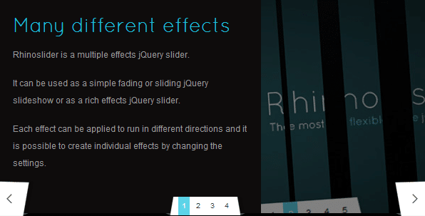rhinoslider