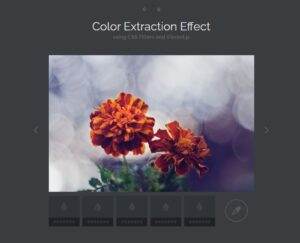 color-extraction-effect