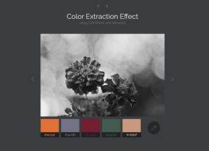 color-extraction-effect