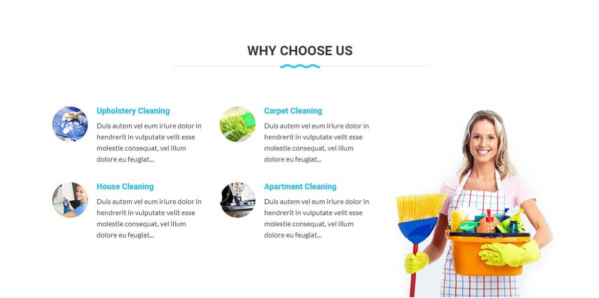cleaning whychooseus